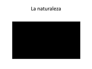 La naturaleza
 