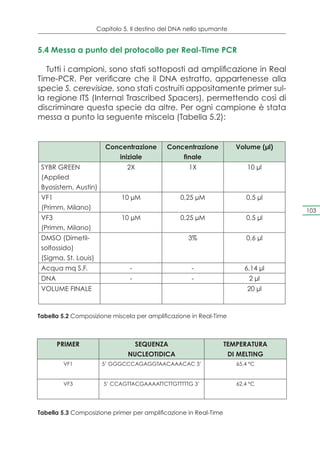 Capitolo 5. Il destino del DNA nello spumante


5.4 Messa a punto del protocollo per Real-Time PCR

   Tutti i campioni, sono stati sottoposti ad amplificazione in Real
Time-PCR. Per verificare che il DNA estratto, appartenesse alla
specie S. cerevisiae, sono stati costruiti appositamente primer sul-
la regione ITS (Internal Trascribed Spacers), permettendo così di
discriminare questa specie da altre. Per ogni campione è stata
messa a punto la seguente miscela (Tabella 5.2):


                         Concentrazione       Concentrazione          Volume (μl)
                            iniziale              finale
 SYBR GREEN                     2X                   1X                   10 μl
 (Applied
 Byosistem, Austin)
 VF1                          10 μM               0,25 μM                0,5 μl
 (Primm, Milano)                                                                    103
 VF3                          10 μM               0,25 μM                0,5 μl
 (Primm, Milano)
 DMSO (Dimetil-                                      3%                  0,6 μl
 solfossido)
 (Sigma, St. Louis)
 Acqua mq S.F.                   -                    -                  6,14 μl
 DNA                             -                    -                   2 μl
 VOLUME FINALE                                                            20 μl



Tabella 5.2 Composizione miscela per amplificazione in Real-Time



       PRIMER                     SEQUENZA                        TEMPERATURA
                                NUCLEOTIDICA                       DI MELTING
        VF1            5’ GGGCCCAGAGGTAACAAACAC 3’                    65,4 °C


        VF3             5’ CCAGTTACGAAAATTCTTGTTTTTG 3’               62,4 °C




Tabella 5.3 Composizione primer per amplificazione in Real-Time
 