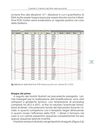 Capitolo 5. Il destino del DNA nello spumante


avviene fino alla diluizione 10-10, diluizione in cui il quantitativo di
DNA risulta essere troppo basso per essere rilevato anche in Real-
Time PCR. Inoltre viene evidenziato un segnale positivo nel caso
della Dekkera.




                                                                                109




Fig. 5.5 Report della Real-time PCR messa a punto con i primer SC1 e SC2




Disegno dei primer
   A seguito dei risultati illustrati nel precedente paragrafo, i pri-
mer impiegati per la realizzazione dell’amplificazione, sono stati
sottoposti a gradiente termico, con temperature di annealing
comprese tra 45,2 e 65°C, al fine di valutare l’eventuale forma-
zione di dimeri, che potevano fornire dei falsi-positivi durante l’a-
nalisi, in quanto competono con il templato target diminuendo
in questo modo l’efficienza della PCR. I dimeri si formano nel
caso in cui i primer presentino sequenze complementari tra loro
oppure sequenze ripetute invertite.
   Il risultato emerso è illustrato nel gel riportato di seguito (Figura 5.6)
 