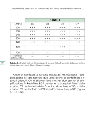 Valorizzazione delle D.O.C.G. Franciacorta ed Oltrepò Pavese metodo classico…




                                                    CANTINA
         TEMPO               C3               C1               C6               C7
            120             +++              +++              +++              +++
            180             +++              +++              +++              +++
            240             +++              +++              +++              +++
            300             +++              +++              +++              +++
            420             -++              ++-                               +++

            480                                               +++

            720              ---              ---              ---              ---
         BOTTIGLIE           ---              ---              ---              ---
       COMMERCIALI

114   Tabella 5.4 Risultati del monitoraggio del DNA durante l’affinamento dello spumante e
      su bottiglie commerciali in 4 differenti cantine




         Anche in questo caso per ogni tempo del monitoraggio, l’am-
      plificazione è stata ripetuta due volte al fine di confermare i ri-
      sultati ottenuti. Qui di seguito sono mostrati due esempi di am-
      plificazione in Real-Time PCR condotte su campioni filtrati della
      cantina C1 del territorio della Franciacorta al tempo 240, e della
      cantina C6 del territorio dell’Oltrepò Pavese al tempo 300 (Figura
      5.11 e 5.12).
 