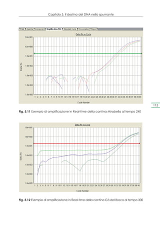 Capitolo 5. Il destino del DNA nello spumante




                                                                                           115

Fig. 5.11 Esempio di amplificazione in Real-time della cantina Mirabella al tempo 240




Fig. 5.12 Esempio di amplificazione in Real-time della cantina Cà del Bosco al tempo 300
 
