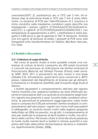 Capitolo 2. Indagine sull’ecologia di lieviti enologici in Franciacorta ed Oltrepò Pavese


cerevisiae)/55°C (S. pastorianus) sec e 72°C per 2 min. Un’ul-
teriore step di estensione finale a 72°C per 7 min è stata effet-
tuata. La reazione di PCR per l’identificazione di S. bayanus è
stata condotta nelle medesime condizioni sopra descritte ma
impiegando i primers LgHO-F (5’TGGAAAGTCTACGAGAACA-
AGCC3’) e LgHO-R (5’CCTCTATGTGAAGTCCGTATACTG3’) con
temperatura di appaiamento a 55°C. L’elettroforesi è stata ese-
guita in 0,8% (p/v) su gel di agarosio in TAE 1X tampone trattata
con 0,4 ug/mL di bromuro di etidio. I prodotti di PCR sono stati
fotografati sotto transilluminatore UV GelDoc (Bio-Rad, Hercules,
CA, USA).


2.3 Risultati e Discussione

2.3.1 Collezione di ceppi di lievito
    Nel corso di questo studio è stato possibile creare una col-
lezione di colture di lievito composta da 493 isolati riscontrati                           29

e coinvolti nel processo di vinificazione nei territori lombardi di
Franciacorta (Brescia) ed Oltrepò Pavese (Pavia) nelle anna-
te 2009, 2010, 2011 e provenienti da aria, mosto e vino base
(Tabella 2.2). Attualmente, questi lieviti sono conservati a -80°C
presso i laboratori del Dipartimento di Scienze per gli Alimenti,
la Nutrizione e l’Ambiente (DeFENS) dell’Università degli Studi di
Milano.
    I risultati riguardanti il campionamento dell’aria del vigneto
hanno mostrato che, sebbene il prelievo sia stato effettuato du-
rante la maturazione dell’uva quando la circolazione degli inset-
ti in vigneto era presente e assai favorita dalle condizioni clima-
tiche, le percentuali di isolamento raggiungevano valori molto
bassi e compresi tra 0-2% per entrambi i territori analizzati. Il cam-
pionamento dell’aria presso i vigneti non trova molti precedenti
in bibliografia: un recente lavoro svolto nella regione spagnola
della Rioja nel 2006 ha previsto, tra gli altri, il campionamento di
aria per verificare la presenza di lieviti batteri e muffe, ma all’in-
terno della cantina. Nel lavoro citato è stata rilevata la presenza
di molte muffe mentre lieviti e batteri in minore quantità e non
prima dell’inizio della prima fermentazione alcolica e malolatti-
ca, rispettivamente (Garijo, 2008).
 
