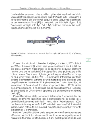 Capitolo 3. Tipizzazione molecolare dei ceppi di S. cerevisiae …


(parte della sequenza che codifica gli enzimi implicati nel ciclo
vitale del trasposone), preceduta dall’RNAasiH, in Ty1-copia INT si
trova all’interno del gene Pol, seguito dalla sequenza codifican-
te per la retrotrascrittasi (RT) e da quella per l’RNAsiH (Figura 3.1).
Tra queste famiglie solo Ty1, Ty2 e Ty3 risultano essere attive nella
trasposizione all’interno del genoma.




Figura 3.1 Struttura del retrotrasposone di tipoTy1-copia (INT prima di RT) e Ty3-gypsy
(INT dopo RH).

                                                                                          49

   Come dimostrato da diversi autori (Legras e Karst, 2003; Schul-
ler, 2004), il numero (S. cerevisiae può contenere da 2 a 30 co-
pie dei 5 elementi trasponibili) e la posizione di questi elementi
hanno una certa variabilità intraspecifica che può essere utiliz-
zato come un’impronta digitale genetica per identificare i cep-
pi di S. cerevisiae (Xufre, 2011). I marcatori Interdelta sfruttano
questo polimorfismo. Si tratta di una metodica che prevede una
amplificazione mediante PCR (Polymerase Chain Reaction) di
frammenti di DNA situati tra due trasposoni (Ness, 1993). Ai fini
dell’amplificazione, è necessario progettare dei primers (sequen-
ze omologhe al DNA) che si appaino ad entrambe le estremità
delta (δ).
   L’amplificazione delle sequenze interdelta è conosciuta per
essere altamente specifica per l’identificazione di ceppi di S.
cerevisiae rispetto ad altri lieviti (Ness, 1993). Pramateftaki (2000)
analizzando le sequenze δ di 500 isolati di un’area vitivinicola del-
la Grecia ha ottenuto dei profili di amplificazione esclusivamente
da isolati di S. cerevisiae.
   Poiché l’amplificazione delle sequenze inter-δ sembra essere
efficace per la tipizzazione, molti studi ne sono seguiti per otti-
mizzare la tecnica. Infatti, Legras e Karst (2003) progettando una
 