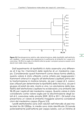 Capitolo 3. Tipizzazione molecolare dei ceppi di S. cerevisiae …




                                                                        98.5%
                                                                                                 57
Figura 3.5 Dendrogramma relativo alla determinazione della ripetibilità dell’elettrofo-
resi capillare. L’asse orizzontale rappresenta il coefficiente di similarità tra i ceppi di S.
cerevisiae. 98.5% è la soglia di similarità oltre la quale i campioni possono essere consi-
derati cloni dello stesso ceppo.


   Dall’esperimento di ripetibilità è stata osservata una differen-
za di 2 bp tra i frammenti delle repliche di un medesimo cep-
po. Considerando questi frammenti come stessa forma allellica,
questo valore è stato utilizzato come criterio per raggruppare i
frammenti ottenuti in seguito all’elettroforesi capillare prima del-
la trasformazione in matrice binaria, sia per i ceppi di S. cerevi-
siae utilizzati per determinare la ripetibilità della tecnica, sia per il
gruppo di isolati da aria, mosto e vino. La valutazione della ripe-
tibilità dell’elettroforesi capillare ha evidenziato una similarità del
98,5% per i replicati del medesimo ceppo. Questo valore è stato
considerato come valore soglia per la discriminazione degli iso-
lati di S. cerevisiae nelle annate 2009, 2010 e 2011. Gli isolati che
presentano un valore di similarità maggiore saranno considerati
cloni del medesimo ceppo (Figura 3.5).
   I profili elettroforetici sono stati valutati nell’intervallo di pesi mo-
lecolari tra 50-1200bp. In media sono state identificate 25 bande
potenzialmente polimorfiche per ceppo isolato, con un minimo di
 