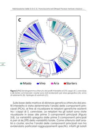Valorizzazione delle D.O.C.G. Franciacorta ed Oltrepò Pavese metodo classico …




                 C




 62




Starters              Mosto             Vino             Aria           Starters

       Figura 3.7 C Dendrogramma ottenuto dai profili Interdelta di 275 ceppi di S. cerevisiae
       e 48 starter commerciali. I cluster sono stati evidenziati: per area geografica (A); anno
       di isolamento (B); tipologia di substrato (C).



            Sulla base della matrice di distanza genetica ottenuta dai pro-
       fili interdelta è stata determinata l’analisi delle componenti prin-
       cipali (PCA), al fine di visualizzare le relazioni genetiche esistenti
       tra i ceppi di S. cerevisiae. Le relazioni tra gli isolati sono state
       visualizzate in base alle prime 3 componenti principali (Figura
       3.8). La variabilità spiegata dalle prime 3 componenti principali
       è pari al 66,29% della variabilità totale. Come ottenuto dall’ana-
       lisi a cluster, anche l’analisi delle componenti principali non ha
       evidenziato particolari raggruppamenti specifici, infatti gli isolati
 