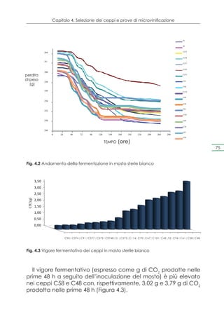 Capitolo 4. Selezione dei ceppi e prove di microvinificazione



                                                                                                     S1


                                                                                                     S2


                                                                                                     C273
                 264

                                                                                                     C278

                 262
                                                                                                     C277


                                                                                                     C276
                 260
perdita                                                                                              C275


di peso          258                                                                                 C91
   (g)
                                                                                                     C90

                 256                                                                                 C114


                                                                                                     C48

                 254
                                                                                                     C58

                                                                                                     C61
                 252
                                                                                                     C101


                 250                                                                                 C49


                                                                                                     C70

                 248
                                                                                                     C67
                       0   24      48   72    96   120    144    168   192   216   240   264   288
                                                                                                     C94

                                                         TEMPO   (ore)
                                                                                                                75


Fig. 4.2 Andamento della fermentazione in mosto sterie bianco

          4,00
                                        Microfermentation test: fermentative vigour
          3,50
          3,00
          2,50
          2,00
 C02(g)




          1,50
          1,00
          0,50
          0,00


                                C90|C276|C91|C277|C275|C2748|S1|C273|C114|C70|C67|C101|C49|S2|C94|C61|C58|C48




Fig. 4.3 Vigore fermentativo dei ceppi in mosto sterile bianco



  Il vigore fermentativo (espresso come g di CO2 prodotte nelle
prime 48 h a seguito dell’inoculazione del mosto) è più elevato
nei ceppi C58 e C48 con, rispettivamente, 3,02 g e 3,79 g di CO2
prodotta nelle prime 48 h (Figura 4.3).
 
