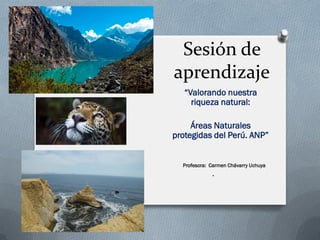 Sesión de
aprendizaje
“Valorando nuestra
riqueza natural:
Áreas Naturales
protegidas del Perú. ANP”
Profesora: Carmen Chávarry Uchuya
.
 