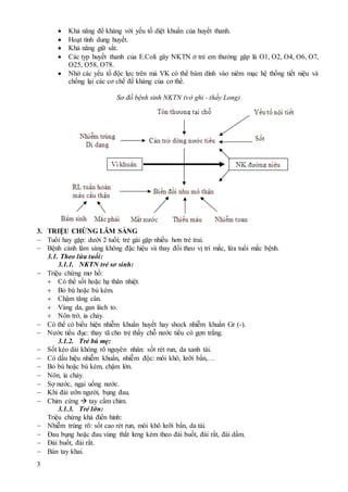 3
 Khả năng đề kháng với yếu tố diệt khuẩn của huyết thanh.
 Hoạt tính dung huyết.
 Khả năng giữ sắt.
 Các typ huyết thanh của E.Coli gây NKTN ở trẻ em thường gặp là O1, O2, O4, O6, O7,
O25, O58, O78.
 Nhờ các yếu tố độc lực trên mà VK có thể bám dính vào niêm mạc hệ thống tiết niệu và
chống lại các cơ chế đề kháng của cơ thể.
Sơ đồ bệnh sinh NKTN (vở ghi - thầy Long)
3. TRIỆU CHỨNG LÂM SÀNG
 Tuổi hay gặp: dưới 2 tuổi; trẻ gái gặp nhiều hơn trẻ trai.
 Bệnh cảnh lâm sàng không đặc hiệu và thay đổi theo vị trí mắc, lứa tuổi mắc bệnh.
3.1. Theo lứa tuổi:
3.1.1. NKTN trẻ sơ sinh:
 Triệu chứng mơ hồ:
 Có thể sốt hoặc hạ thân nhiệt.
 Bỏ bú hoặc bú kém.
 Chậm tăng cân.
 Vàng da, gan lách to.
 Nôn trớ, ỉa chảy.
 Có thể có biểu hiện nhiễm khuẩn huyết hay shock nhiễm khuẩn Gr (-).
 Nước tiểu đục: thay tã cho trẻ thấy chỗ nước tiểu có gợn trắng.
3.1.2. Trẻ bú mẹ:
 Sốt kéo dài không rõ nguyên nhân: sốt rét run, da xanh tái.
 Có dấu hiệu nhiễm khuẩn, nhiễm độc: môi khô, lưỡi bẩn,…
 Bỏ bú hoặc bú kém, chậm lớn.
 Nôn, ỉa chảy.
 Sợ nước, ngại uống nước.
 Khi đái ưỡn người, bụng đau.
 Chim cứng  tay cầm chim.
3.1.3. Trẻ lớn:
Triệu chứng khá điển hình:
 Nhiễm trùng rõ: sốt cao rét run, môi khô lưỡi bẩn, da tái.
 Đau bụng hoặc đau vùng thắt lưng kèm theo đái buốt, đái rắt, đái dầm.
 Đái buốt, đái rắt.
 Bàn tay khai.
 