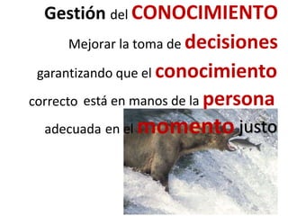 Gestión del CONOCIMIENTO
Mejorar la toma de decisiones
garantizando que el conocimiento
correcto está en manos de la persona
adecuada en el momento justo
 