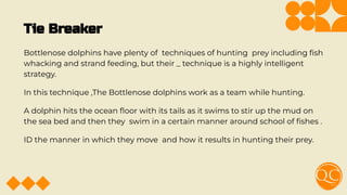Tie Breaker
Bottlenose dolphins have plenty of techniques of hunting prey including ﬁsh
whacking and strand feeding, but their _ technique is a highly intelligent
strategy.
In this technique ,The Bottlenose dolphins work as a team while hunting.
A dolphin hits the ocean ﬂoor with its tails as it swims to stir up the mud on
the sea bed and then they swim in a certain manner around school of ﬁshes .
ID the manner in which they move and how it results in hunting their prey.
 