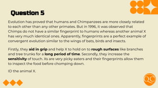 Question 5
Evolution has proved that humans and Chimpanzees are more closely related
to each other than any other primates. But in 1996, it was observed that
Chimps do not have a similar ﬁngerprint to humans whereas another animal X
has very much identical ones. Apparently, ﬁngerprints are a perfect example of
convergent evolution similar to the wings of bats, birds and insects.
Firstly, they aid in grip and help X to hold on to rough surfaces like branches
and tree trunks for a long period of time. Secondly, they increase the
sensitivity of touch. Xs are very picky eaters and their ﬁngerprints allow them
to inspect the food before chomping down.
ID the animal X.
 