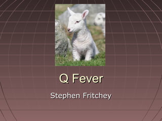 Q FeverQ Fever
Stephen FritcheyStephen Fritchey
 