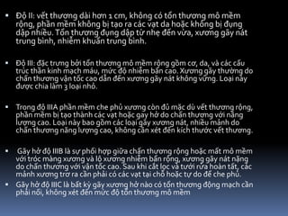  Độ II: vết thương dài hơn 1 cm, không có tổn thương mô mềm
rộng, phần mềm không bị tạo ra các vạt da hoặc không bị đụng
dập nhiều.Tổn thương đụng dập từ nhẹ đến vừa, xương gãy nát
trung bình, nhiễm khuẩn trung bình.
 Độ III: đặc trưng bởi tổn thương mô mềm rộng gồm cơ, da, và các cấu
trúc thần kinh mạch máu, mức độ nhiễm bẩn cao. Xương gãy thường do
chấn thương vận tốc cao dẫn đến xương gãy nát không vững. Loại này
được chia làm 3 loại nhỏ.
 Trong độ IIIA phần mềm che phủ xương còn đủ mặc dù vết thương rộng,
phần mềm bị tạo thành các vạt hoặc gay hở do chấn thương với năng
lượng cao. Loại này bao gồm các loại gãy xương nát, nhiều mảnh do
chấn thương năng lượng cao, không cần xét đến kích thước vết thương.
 Gãy hở độ IIIB là sự phối hợp giữa chấn thương rộng hoặc mất mô mềm
với tróc màng xương và lộ xương nhiễm bẩn rộng, xương gãy nát nặng
do chấn thương với vận tốc cao. Sau khi cắt lọc và tưới rửa hoàn tất, các
mảnh xương trơ ra cần phải có các vạt tại chỗ hoặc tự do để che phủ.
 Gãy hở độ IIIC là bất kỳ gãy xương hở nào có tổn thương động mạch cần
phải nối, không xét đến mức độ tổn thương mô mềm
 
