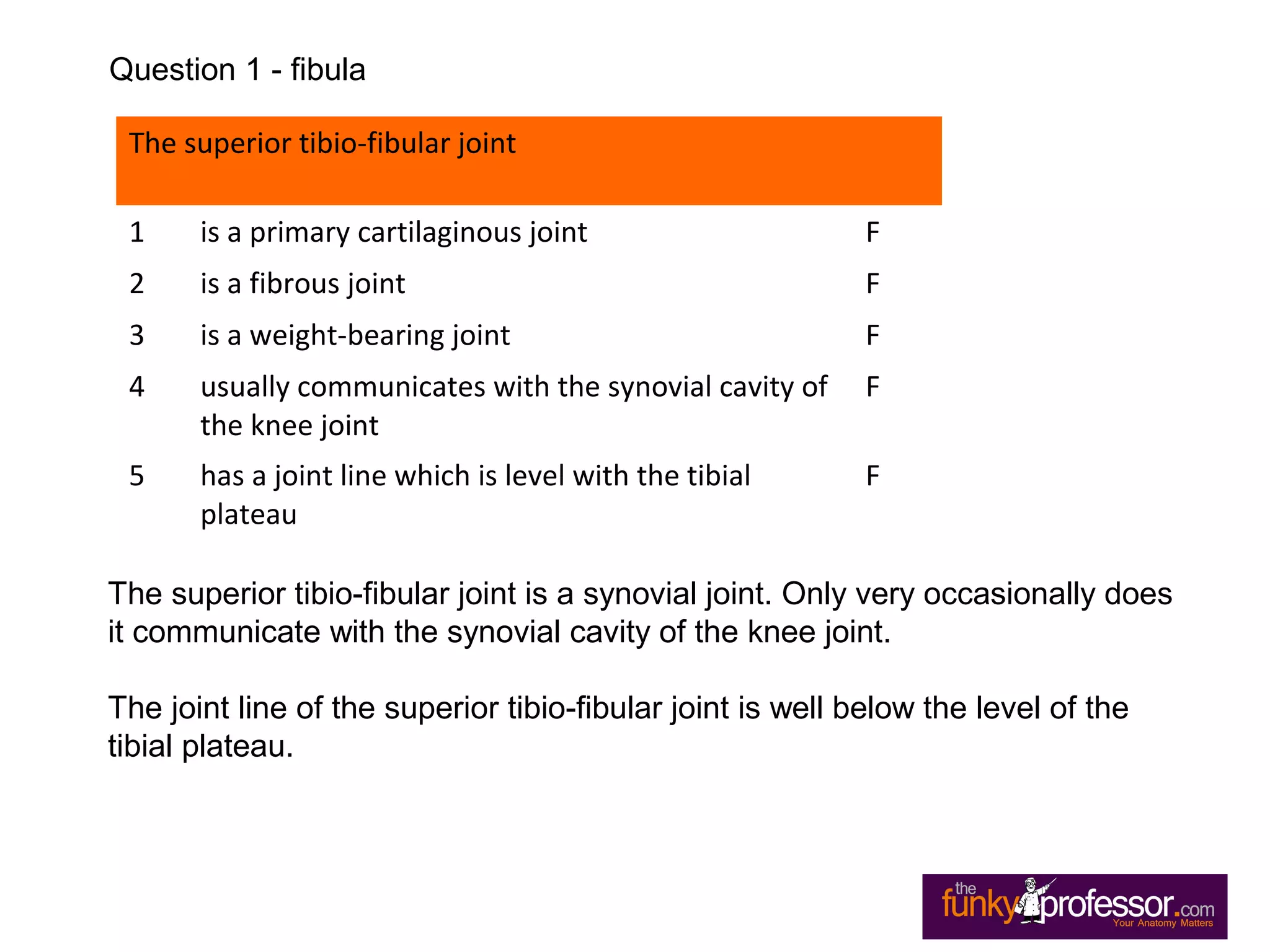 The superior tibio-fibular joint
1 is a primary cartilaginous joint F
2 is a fibrous joint F
3 is a weight-bearing joint F
4 usually communicates with the synovial cavity of
the knee joint
F
5 has a joint line which is level with the tibial
plateau
F
The superior tibio-fibular joint is a synovial joint. Only very occasionally does
it communicate with the synovial cavity of the knee joint.
The joint line of the superior tibio-fibular joint is well below the level of the
tibial plateau.
Question 1 - fibula
 