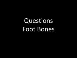 Questions
Foot Bones
 