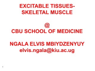 1
EXCITABLE TISSUES-
SKELETAL MUSCLE
@
CBU SCHOOL OF MEDICINE
NGALA ELVIS MBIYDZENYUY
elvis.ngala@kiu.ac.ug
 