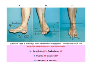 figura
Amplitude do movimento do pé e do tornozelo.
A – Dorsoflexão 20° e flexão plantar 45°
B- Inversão 30° e eversão 20°
C- Abdução 10° e adução 20°
 