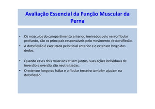 • Os músculos do compartimento anterior, inervados pelo nervo fibular
profundo, são os principais responsáveis pelo movimento de dorsiflexão.
• A dorsiflexão é executada pelo tibial anterior e o extensor longo dos
dedos.
• Quando esses dois músculos atuam juntos, suas ações individuais de
inversão e eversão são neutralizadas.
• O extensor longo do hálux e o fibular terceiro também ajudam na
dorsiflexão.
Avaliação Essencial da Função Muscular da
Perna
 