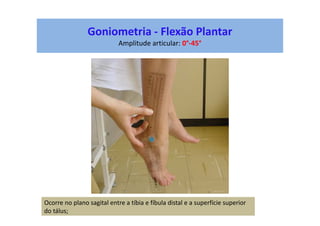 Goniometria - Flexão Plantar
Amplitude articular: 0°-45°
Ocorre no plano sagital entre a tíbia e fíbula distal e a superfície superior
do tálus;
 