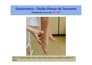 Goniometria - Flexão Plantar do Tornozelo
Amplitude articular: 0°- 45°
Ocorre no plano sagital entre a tíbia e fíbula distal e a superfície superior do
tálus;
 