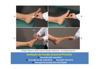 10/12/2015 Dr. José Heitor M. Fernandes 131
Avaliação da Função Sensorial Primária.
A- Sensação tátil superficial
B- Sensação de dor superficial C- Sensação vibratória
D- Sensação de posição das articulações
 