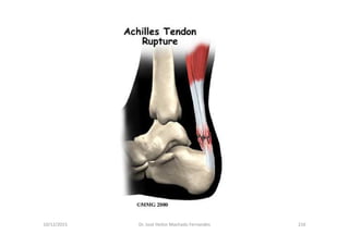 figura
10/12/2015 Dr. José Heitor Machado Fernandes 216
 