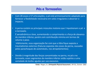 • Com 28 ossos e 57 articulações, o pé está primorosamente adaptado para
fornecer a flexibilidade necessária em solos irregulares e absorver o
impacto.
• A perna contém os principais músculos motores que i´mpulsionam o pé e
o tornozelo.
É aerodinâmica e leve, aumentando o comprimento e a força de alavanca
do membro inferior, porém com contribuição mínima em termos de
volume e peso.
Infelizmente, essa organização faz com que a tíbia fique exposta a
traumatismos externos (fraturas expostas dos ossos da perna, causadas
pelos parachoques de automóveis, nos atropelamentos).
• Devido à magnitude das forças concentradas na perna, no pé e no
tornozelo, esses segmentos do membro inferior estão sujeitos a uma
variedade de lesões agudas por uso excessivo.
Pés e Tornozelos
Fonte: Magee, D J; Orthopedic Physical Assessment , 4th Ed., Elseiver- 2002
 