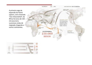 A primeira vaga de
expansão do Homo
sapiens, seria chamada
“Eva mitocondrial”, da
África há cerca de 150
mil anos teria
sucessivas ondas de
migração chegando a
outros continentes.
 