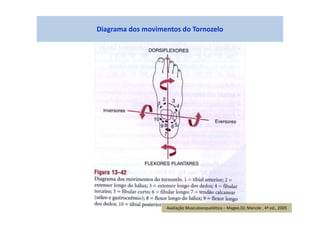 figura
Diagrama dos movimentos do Tornozelo
Avaliação Musculoesquelética – Magee,DJ; Manole , 4ª ed., 2005
 