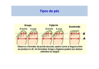 Tipos de pés
 
