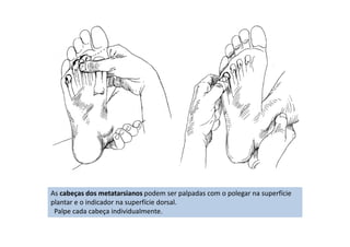 As cabeças dos metatarsianos podem ser palpadas com o polegar na superfície
plantar e o indicador na superfície dorsal.
Palpe cada cabeça individualmente.
 