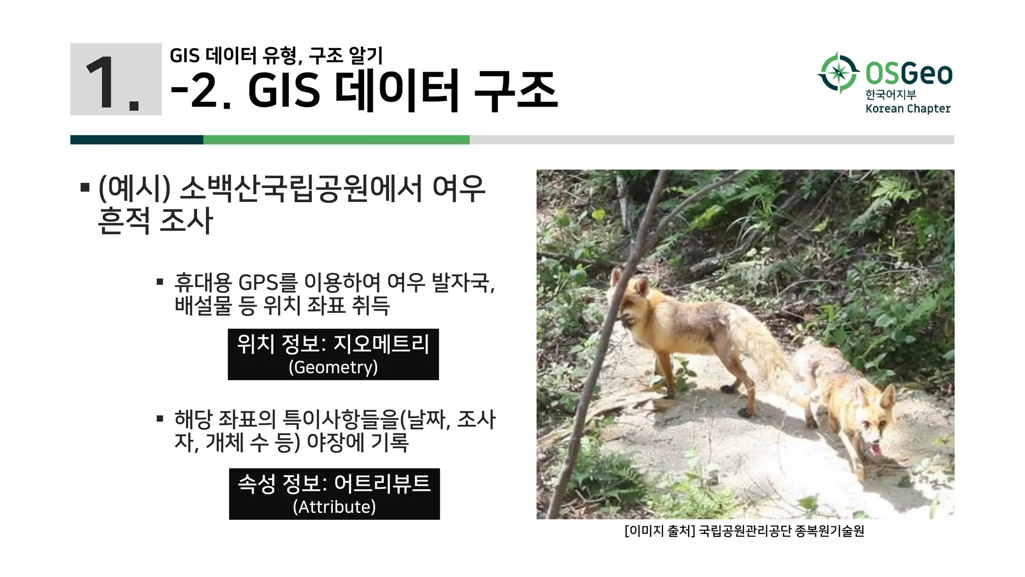 1. -2. GIS 데이터 구조
 (예시) 소백산국립공원에서 여우
흔적 조사
 휴대용 GPS를 이용하여 여우 발자국,
배설물 등 위치 좌표 취득
 해당 좌표의 특이사항들을(날짜, 조사
자, 개체 수 등) 야장에 기록
위치 정보: 지오메트리
(Geometry)
속성 정보: 어트리뷰트
(Attribute)
[이미지 출처] 국립공원관리공단 종복원기술원
GIS 데이터 유형, 구조 알기
 