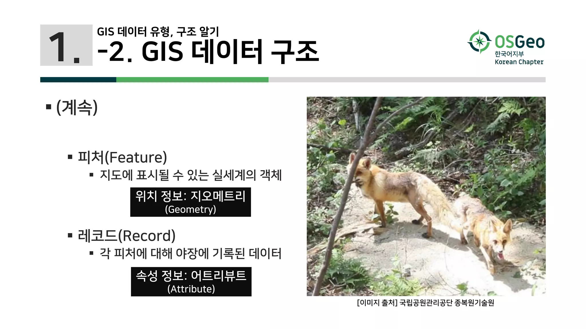 1. -2. GIS 데이터 구조
 (계속)
 피처(Feature)
 지도에 표시될 수 있는 실세계의 객체
 레코드(Record)
 각 피처에 대해 야장에 기록된 데이터
[이미지 출처] 국립공원관리공단 종복원기술원
위치 정보: 지오메트리
(Geometry)
속성 정보: 어트리뷰트
(Attribute)
GIS 데이터 유형, 구조 알기
 