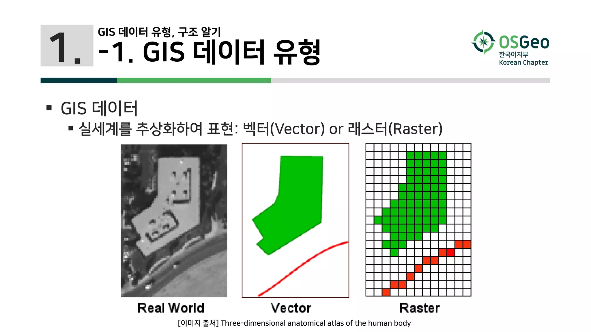 1.
 GIS 데이터
 실세계를 추상화하여 표현: 벡터(Vector) or 래스터(Raster)
GIS 데이터 유형, 구조 알기
-1. GIS 데이터 유형
[이미지 출처] Three-dimensional anatomical atlas of the human body
 