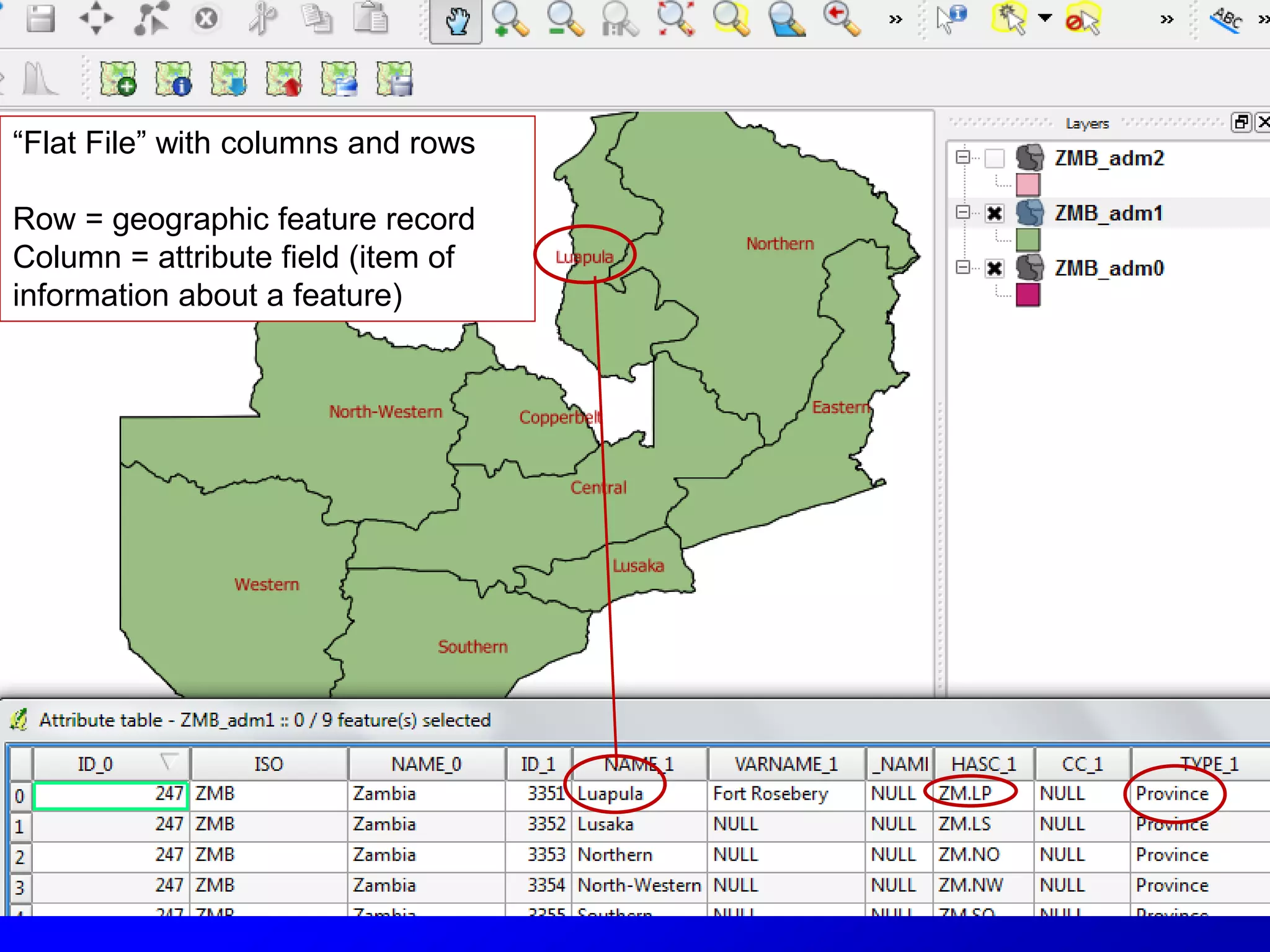“Flat File” with columns and rows
Row = geographic feature record
Column = attribute field (item of
information about a feature)
 