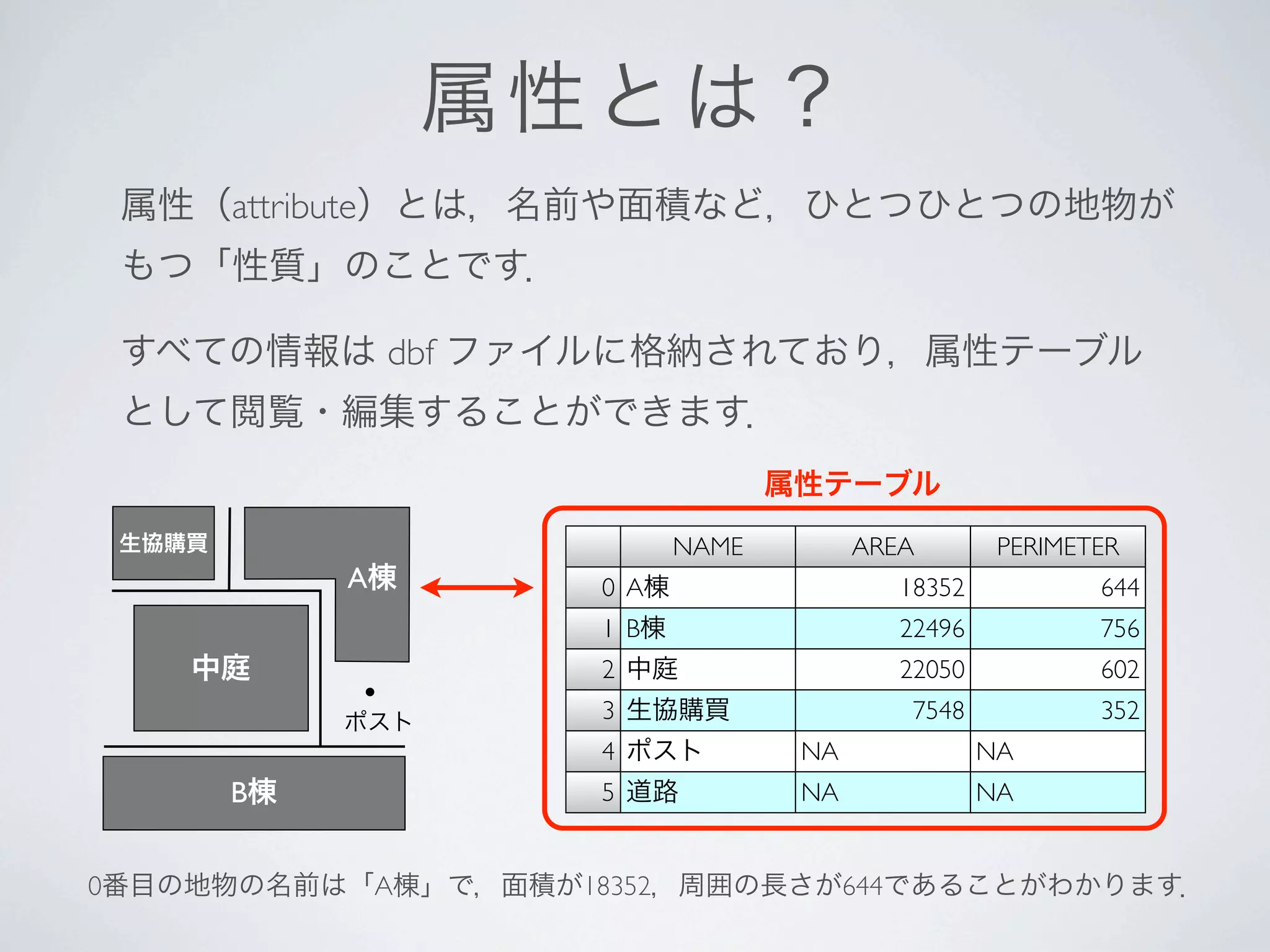 属性 とは？
 属性（attribute）とは，名前や面積など，ひとつひとつの地物が
 もつ「性質」のことです．

 すべての情報は dbf ファイルに格納されており，属性テーブル
 として閲覧・編集することができます．
                                   属性テーブル
 生協購買                       NAME         AREA        PERIMETER
             A棟      0 A棟                   18352           644
                     1 B棟                   22496           756
    中庭               2 中庭                   22050           602
             ・
             ポスト     3 生協購買                  7548           352
                     4 ポスト          NA              NA
        B棟           5 道路           NA              NA


0番目の地物の名前は「A棟」で，面積が18352，周囲の長さが644であることがわかります．
 