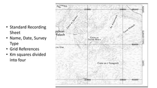 • Standard Recording
Sheet
• Name, Date, Survey
Type
• Grid References
• Km squares divided
into four
 