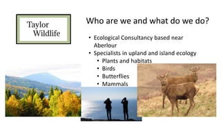 Who are we and what do we do?
• Ecological Consultancy based near
Aberlour
• Specialists in upland and island ecology
• Plants and habitats
• Birds
• Butterflies
• Mammals
 