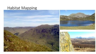 Habitat Mapping
 