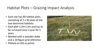 Habitat Plots – Grazing Impact Analysis
• Each site has 60 habitat plots,
consisting of 2 x 30 plots of the
two dominant habitats
• Each plot is 2m x 2m and has to
be surveyed once a year for 5
years
• Marked with a wooden stake
and a 10 figure grid reference
• Plotted on GIS as points
 