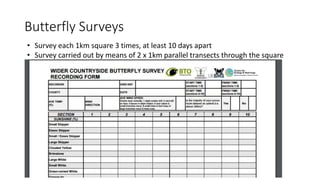 Butterfly Surveys
• Survey each 1km square 3 times, at least 10 days apart
• Survey carried out by means of 2 x 1km parallel transects through the square
 