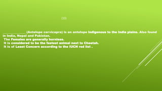 _______________ (Antelope cervicapra) is an antelope indigenous to the India plains. Also found
in India, Nepal and Pakistan.
The Females are generally hornless.
It is considered to be the fastest animal next to Cheetah.
It is of Least Concern according to the IUCN red list .
(10)
 