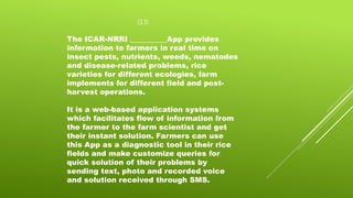 (13)
The ICAR-NRRI __________App provides
information to farmers in real time on
insect pests, nutrients, weeds, nematodes
and disease-related problems, rice
varieties for different ecologies, farm
implements for different field and post-
harvest operations.
It is a web-based application systems
which facilitates flow of information from
the farmer to the farm scientist and get
their instant solution. Farmers can use
this App as a diagnostic tool in their rice
fields and make customize queries for
quick solution of their problems by
sending text, photo and recorded voice
and solution received through SMS.
 