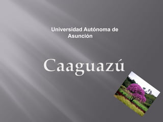 Universidad Autónoma de
Asunción
 