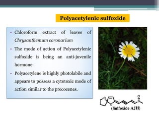 • Chloroform extract of leaves of
Chrysanthemum coronarium
• The mode of action of Polyacetylenic
sulfoxide is being an anti-juvenile
hormone
• Polyacetylene is highly photolabile and
appears to possess a cytotoxic mode of
action similar to the precocenes.
Polyacetylenic sulfoxide
 