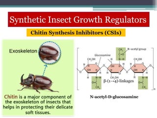 Synthetic Insect Growth Regulators
Chitin Synthesis Inhibitors (CSIs)
N-acetyl-D-glucosamine
β-(1→4)-linkages
 