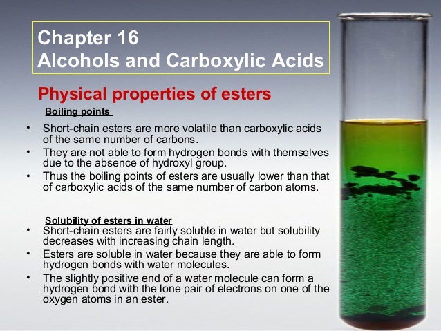 c16 alcohols and carboxylic acids water molecules are able to form hydrogen bonds with
