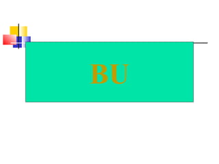 BU 
 
