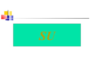 SU 
 