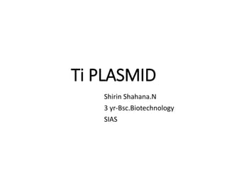 Ti PLASMID
Shirin Shahana.N
3 yr-Bsc.Biotechnology
SIAS
 